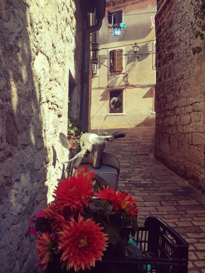 Apartment La Calletta