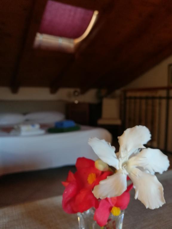 La Calletta Apartment