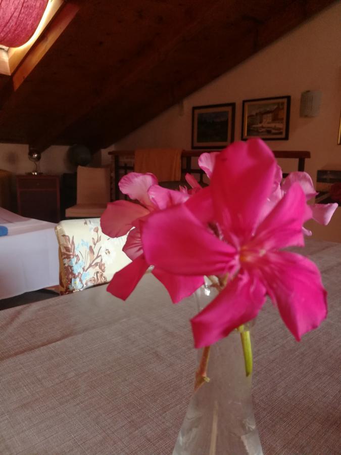 La Calletta Apartment *